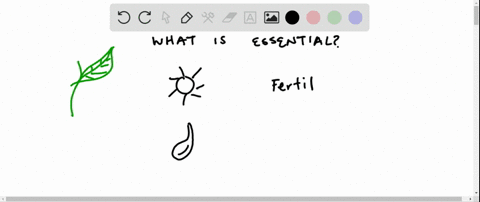 which-of-the-following-characteristics-defines-an-element-as-essential-for-a-particular-species-a-it