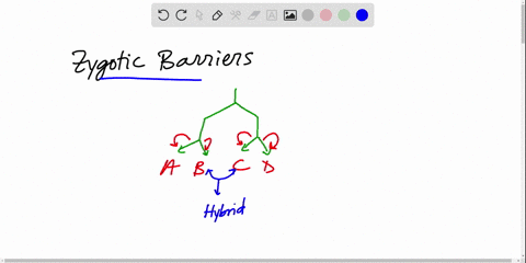 what-role-do-prezygotic-and-postzygotic-barriers-play-in-speciation-a-prezygotic-and-postzygotic-bar