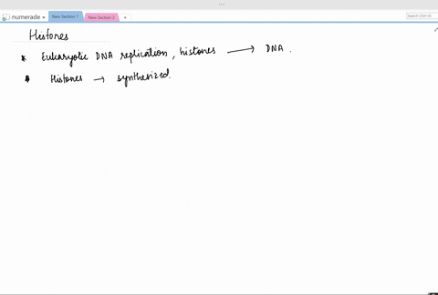 what-role-do-histones-play-in-dna-replication-2