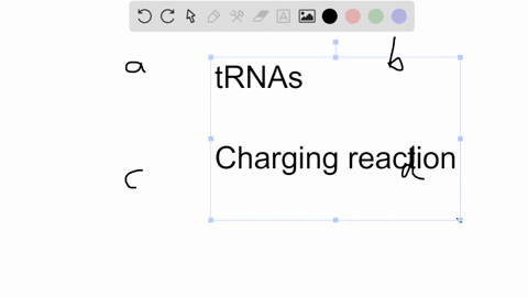 how-are-trnas-charged-a-by-aminoacyl-trna-synthetases-b-by-ribosomes-c-by-peptidyl-transferase-d-by-