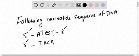 the-following-nucleotide-sequence-is-found-in-a-short-stretch-of-dna-beginaligned-5prime-a-t-g-t-3pr