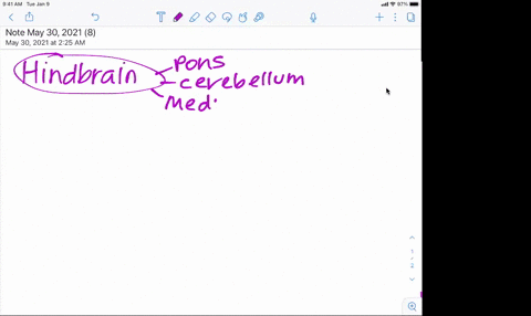 idea-in-a-diagram-similar-to-the-one-below-list-the-parts-of-the-brain