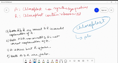 assertion-chloroplast-can-synthesize-proteins-reason-chloroplast-contains-ribosomes