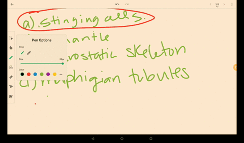 cnidarians-alone-have-__________-a-nematocysts-b-a-mantle-c-a-hydrostatic-skeleton-d-malpighian-tubu