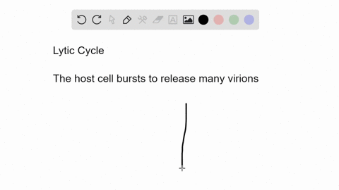 for-lytic-viruses-_________________-is-a-phase-during-a-viral-growth-curve-when-the-virus-is-not-det