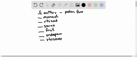 match-the-terms-appropriately-________anther-________monocot-________rhizoid-________sorus-________f