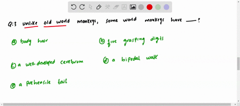 unlike-old-world-monkeys-some-new-world-monkeys-have-a-body-hair-b-five-grasping-digits-c-a-well-dev