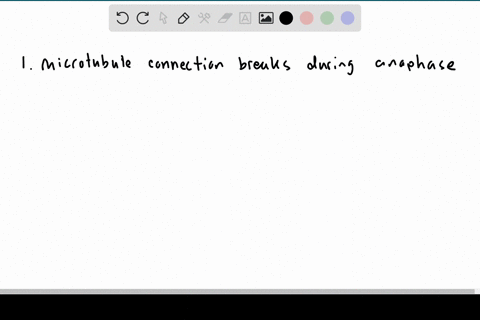 rarely-both-sister-chromatids-of-a-replicated-chromosome-end-up-in-one-daughter-cell-how-might-this-