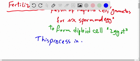 fertilization-______-a-unites-the-nuclei-of-a-sperm-and-egg-cell-b-forms-a-zygote-that-has-chromosom