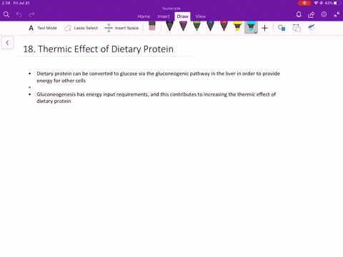 the-thermic-effect-of-food-is-a-term-used-to-describe-the-energy-cost-of-processing-the-food-we-eat-