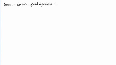 corpora-quadrigemina-are-present-on-portion-of-mesencephalon-midbrain-a-anterior-b-dorsal-c-ventral-