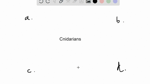 cnidarians-alone-have-________-a-cnidocytes-b-a-mantle-c-a-hydrostatic-skeleton-d-a-radula