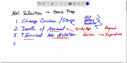 assuming-a-population-that-has-genetic-variation-and-is-under-the-influence-of-natural-selection-pla