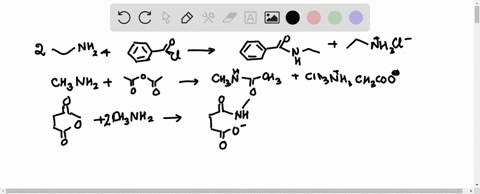 Amines | Organic Chemistry 12th | Numerade