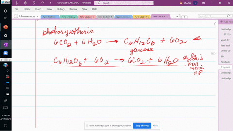 why-is-the-citric-acid-cycle-the-central-pathway-in-metabolism-3
