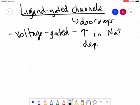 what-does-a-ligand-gated-channel-require-in-order-to-open-a-increase-in-concentration-of-mathrmna-io