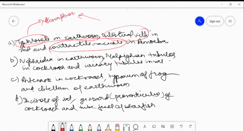 which-one-of-the-following-groups-of-structuresorgans-have-similar-function-a-typhlosole-in-earthwor