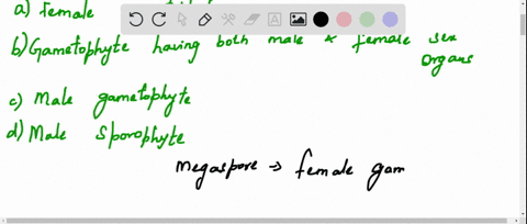 megaspore-germinate-into-a-female-gametophyte-b-gametophyte-having-both-male-and-female-sex-organs-c