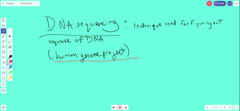 which-of-the-following-is-needed-for-sequencing-dna-a-dna-polymerase-c-primers-b-gel-electrophoresis