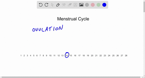 which-hormone-is-released-by-the-anterior-pituitary-and-directly-causes-ovulation-a-luteinizing-horm