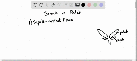 how-do-the-structure-and-function-of-sepals-and-petals-differ-how-would-you-expect-these-structures-