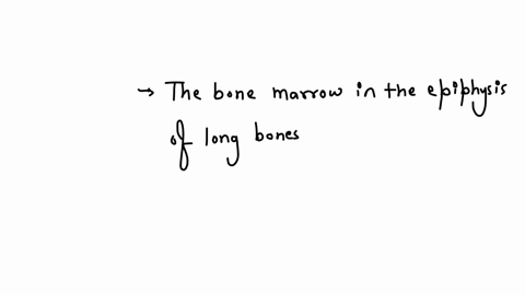 which-of-the-following-is-not-true-a-limb-bones-are-long-bones-b-the-function-of-long-bones-is-weigh