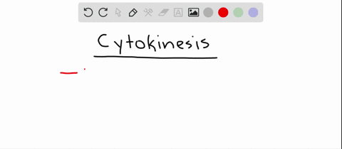 which-statement-about-cytokinesis-is-true-a-in-animals-a-cell-plate-forms-b-in-plants-it-is-initia-2