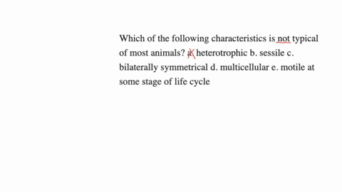 which-of-the-following-characteristics-is-not-typical-of-most-animals-a-heterotrophic-b-sessile-c-bi