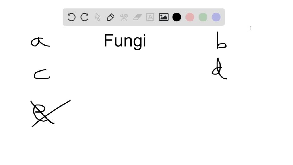 solved-a-trait-common-to-all-fungi-is-a-reproduction-via-spores-b