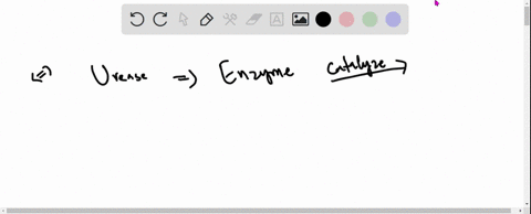 the-following-reaction-is-catalyzed-by-the-enzyme-urease-to-what-class-of-enzymes-does-urease-belong
