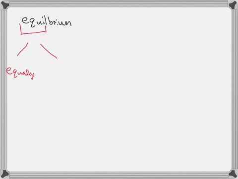 what-does-the-equi-portion-of-the-word-equilibrium-refer-to-2