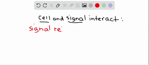 what-is-the-correct-order-for-these-events-in-the-interaction-of-a-cell-with-a-signal-1-alteration-o