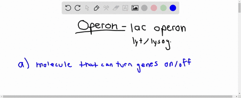 an-operon-is-a-a-molecule-that-can-turn-genes-on-and-off-b-an-inducer-bound-to-a-repressor-c-regulat