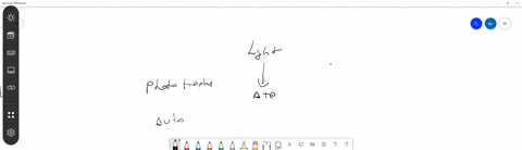 the-____________-are-all-oxygen-producing-photoautotrophs-a-spirochetes-b-quad-chlamydias-c-cyanobac