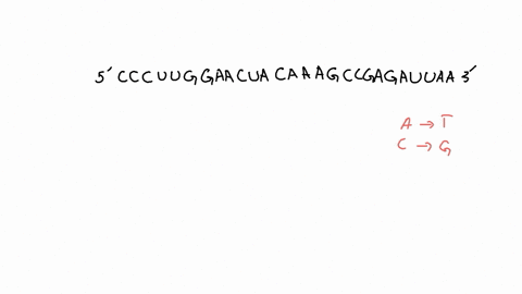 an-rna-virus-that-infects-plant-cells-is-copied-into-a-dna-molecule-after-it-enters-the-plant-cell-w