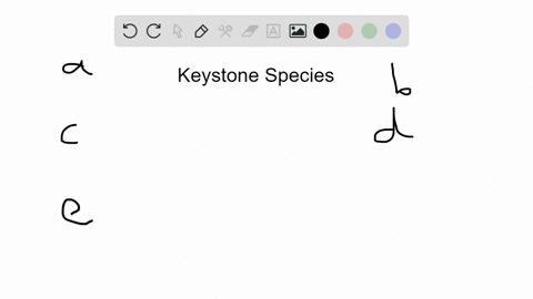SOLVED:Distinguish between a dominant and a keystone species.