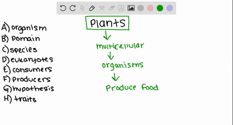 plants-are-___________-choose-all-that-apply-a-organisms-b-a-domain-c-a-species-d-eukaryotes-e-consu