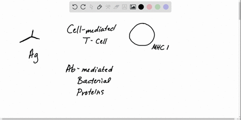 antibody-mediated-responses-work-against-_____-a-intracellular-pathogens-b-extracellular-pathogens-c