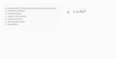 in-eukaryotic-chromosomes-dna-wraps-around-a-histone-proteins-d-centromeres-b-sister-chromatids-e-nu