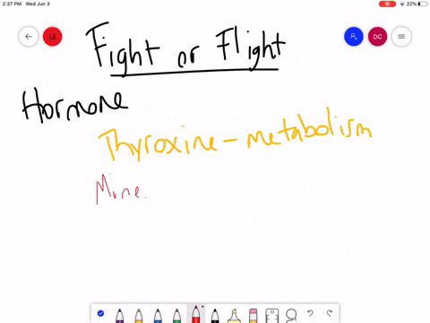 which-hormone-elicits-the-fight-or-flight-response-a-epinephrine-b-mineralcorticoids-c-anti-diuretic