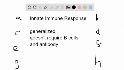 which-of-the-following-is-not-part-of-an-innate-immune-response-a-phagocytic-cells-b-fever-c-hista-2