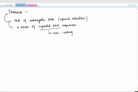 what-would-be-the-effect-on-dna-synthesis-if-the-telomerase-enzyme-were-inactivated-2