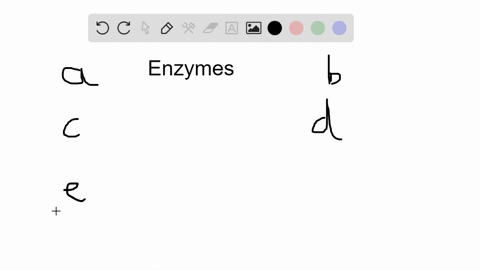in-an-enzymatic-reaction-a-the-enzyme-leaves-the-reaction-chemically-unchanged-b-if-the-enzyme-mol-3