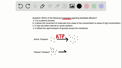 which-of-the-following-is-incorrect-regarding-facilitated-diffusion-a-it-is-a-passive-process-b-it-a