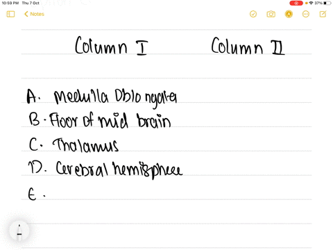 match-column-i-with-column-ll-and-select-the-correct-option-from-the-codes-given-below-column-i-qu-2