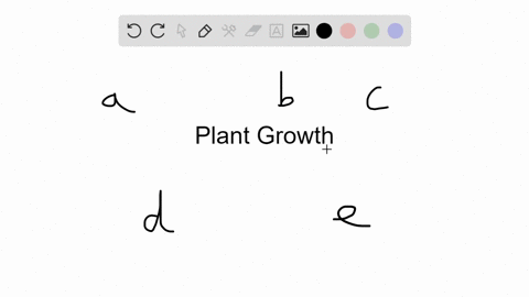 the-plant-tissue-that-gives-girth-to-a-plant-during-each-growing-season-is-called-the-a-phloem-b-tra