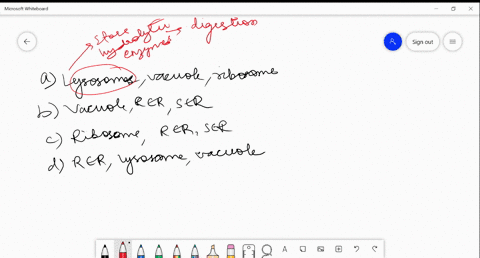 which-group-of-organelles-is-involved-in-syntto-substances-needed-by-cell-a-lysosome-vacuole-ribosom