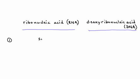 what-are-the-two-classes-of-nucleic-acids-how-do-their-structures-differ