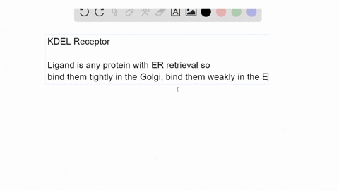 the-kdel-receptor-must-shuttle-back-and-forth-between-the-er-and-the-golgi-apparatus-to-accomplish-2