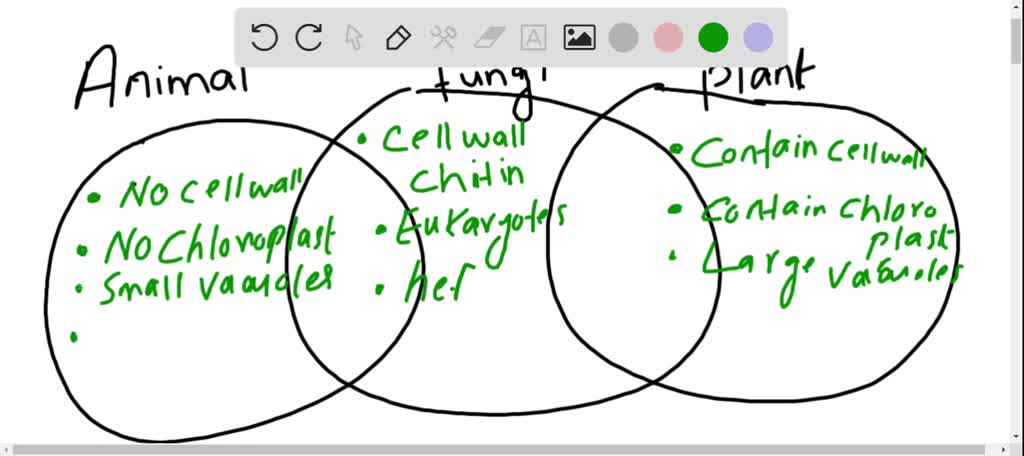 SOLVED:Create a Venn diagram including the characteristics of fungi animals,  and plants.